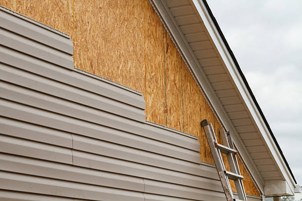 Professional Siding Inspection technician working in Waldo, FL